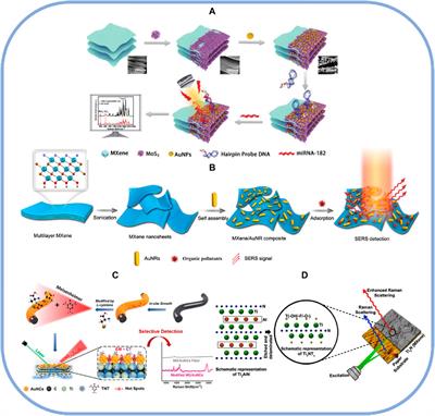 Substrate types and applications of MXene for surface-enhanced Raman spectroscopy